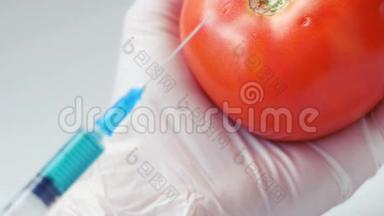 手<strong>套用</strong>手注射番茄中的转基因生物